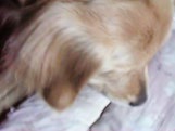 Becky's ear