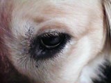 Becky's eye