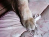Becky's foot